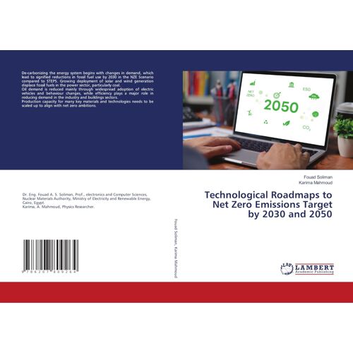 Technological Roadmaps To Net Zero Emissions Target By 2030 And 2050