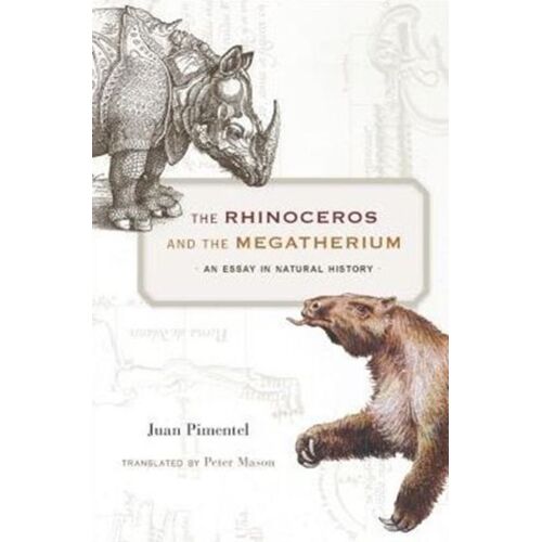 The Rhinoceros And The Megatherium