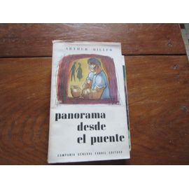  Panorama Desde El Puente 