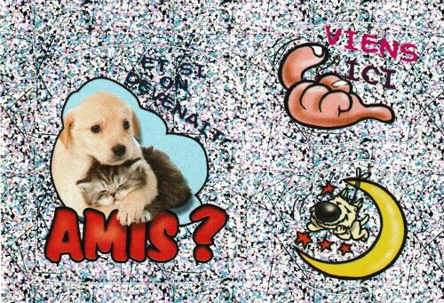Hors Collection N°81 - Stickers Image Panini - Album Amici Cucciolotti - Nos P'tits Animaux ( 2015 )