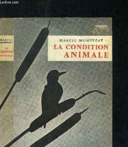 La Condition Animale