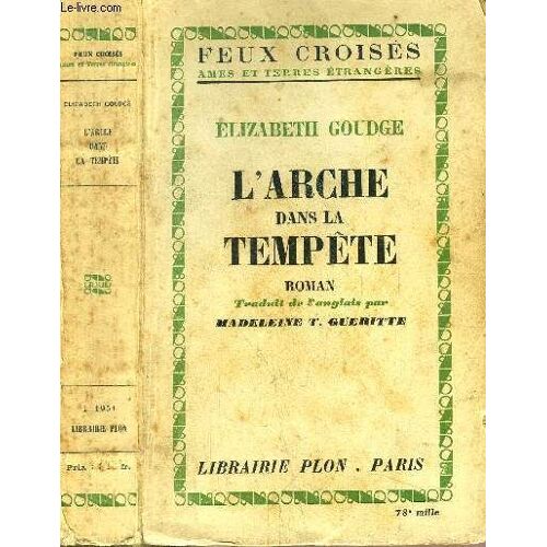 L'arche Dans La Tempete