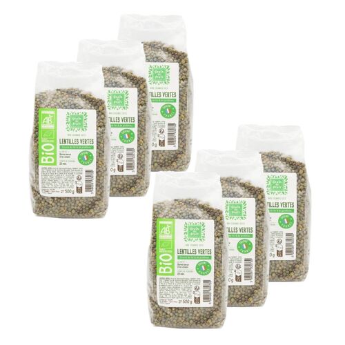 Lot 6x Lentille Verte Bio - France - Sachet 500g