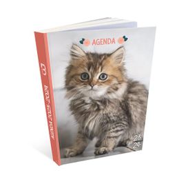 Agenda Scolaire - Chat - Chaton - 2023/2024 - 1 Page Par Jour - Août 2023 À Août 2024