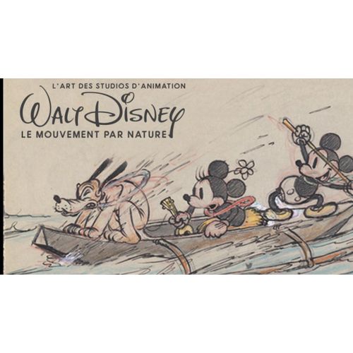 L'art Des Studios D'animation Walt Disney