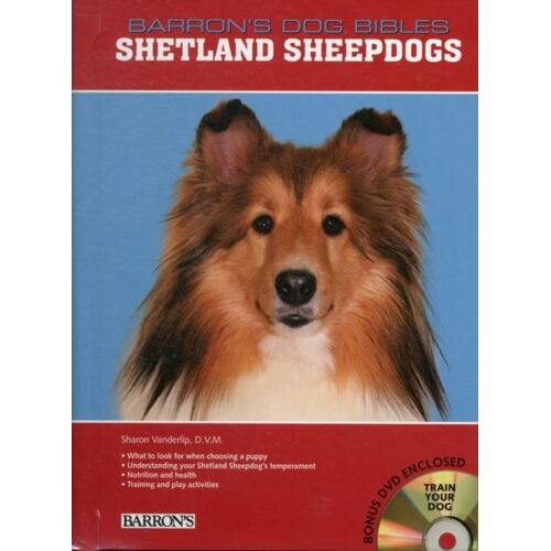 Shetland Sheepdogs