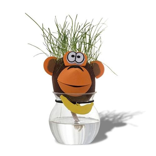 Tête D'animal Cheveux D'herbe Qui Pousse Singe