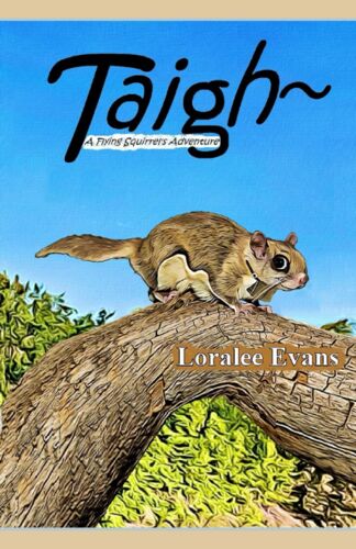 Taigh A Flying Squirrel's Adventure