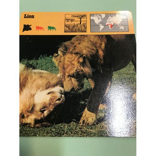 Fiche Animaux : Lion - Éditions Rencontre Sa - Lausanne - 1976