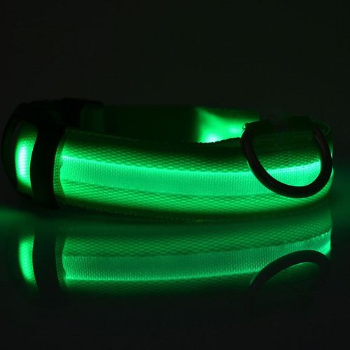 Nuit Sécurité Led Chiens Collier, Nalon Lumières Clignotant Lueur Dans L'obscurité Électrique Pet Coolars, 7 Couleurs Fournitures Pour Animaux De Compagnie Chien Chat Laisse Vert Xl