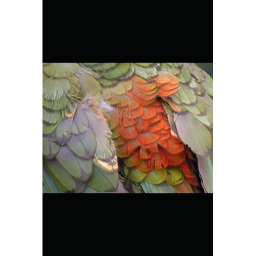 Collected Poems Volume Six 2018-2021