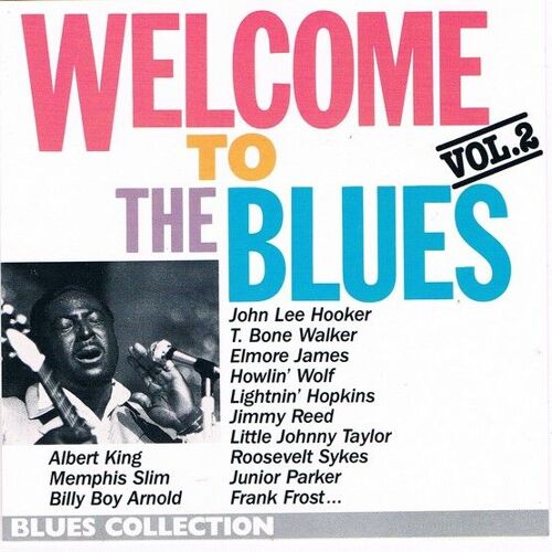 Welcome To The Blues - Vol. 2