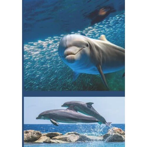Dolphin In The Sea: Creatures Of The Sea Notebook Journal With College-Rule Paper / Beautiful Design / Writing & Journaling / Creative ... Class Organization / Diary / Marine Life