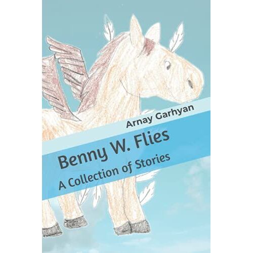 Benny W. Flies: A Collection Of Stories