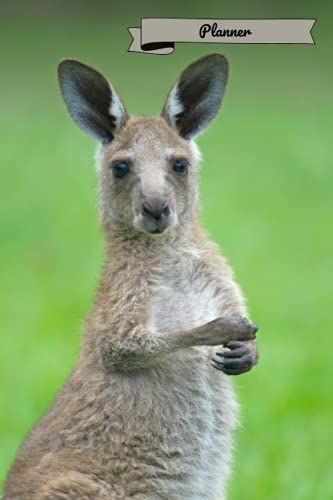 Planner: A Zelda Amara Design | Animals | Kangaroo | Dated Weekly Calendar | Us Holidays