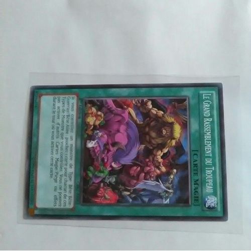Le Grand Rassemblement Du Troupeau - Cblz-Fr063 - 1ere Édition - Carte Yu-Gi-Oh 