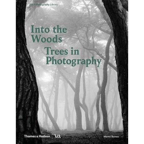 Into The Woods: Trees In Photography