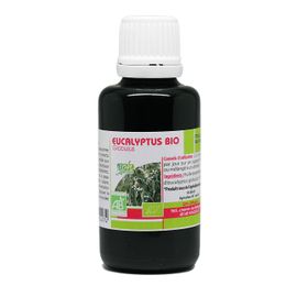 Huile Essentielle D'eucalyptus Globulus Bio 30ml 