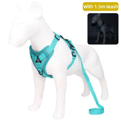Ceinture De Marche Réglable En Maille Respirante Pour Animal De Compagnie, Ensemble Sfp Et Laisse Pour Chien, Chiot Et Chat, Produits Teddy Bulldog