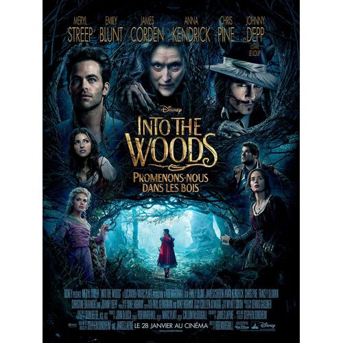 Affiche Officiel Cinema Film Into The Woods Promenons Nous Dans Les Bois