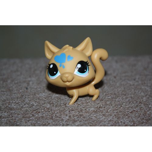 Petshop Tigre N° 3530