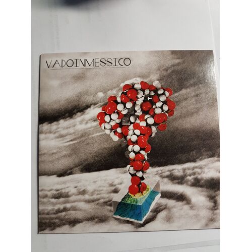 Vadoinmessico    "   Pepita, Queen Of The Anials /  Teeo  "   Single 2 Titres