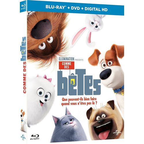 Comme Des Bêtes - The Secret Life Of Pets