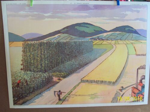 Affiche Scolaire Collection Rossignol Tableau N 20 La Plaine ,Tableau N 19 Le Terrain Limoneux
