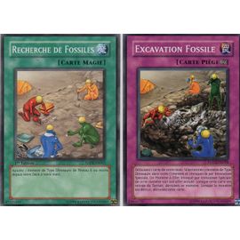 Recherche De Fossiles  Anpr-Fr062  -  Excavation Fossile Potd-Fr058