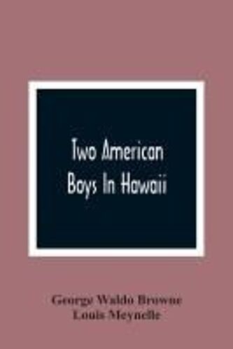 Two American Boys In Hawaii