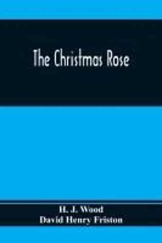 The Christmas Rose