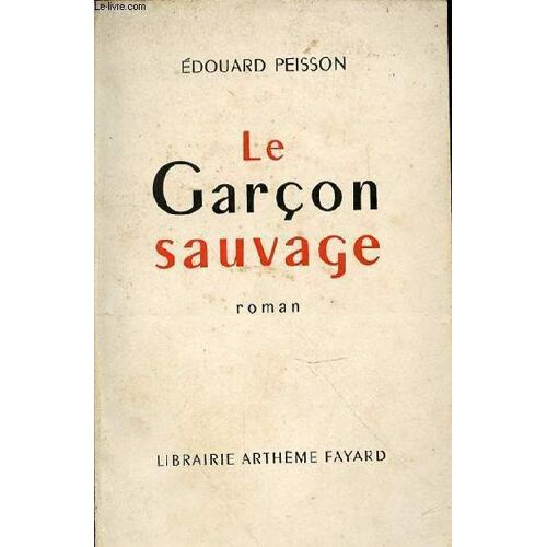 Le Garcon Sauvage