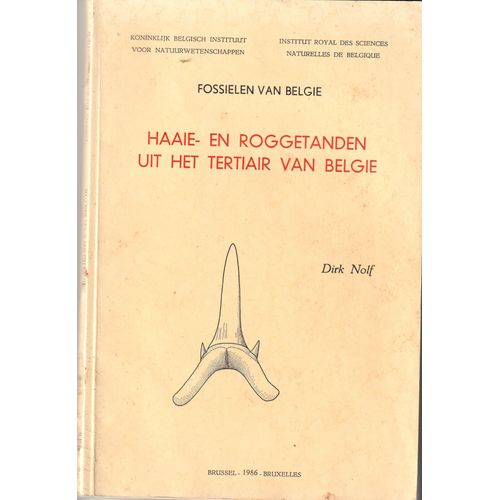 Fossielen Van Belgie Haaie En Roggetanden Uit Het Tertiair