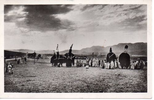 Bou-Saada - Palanquins (Carte Ancienne Algérie, 1949)