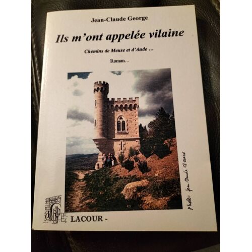 Ils M'ont Appelée Vilaine - Roman