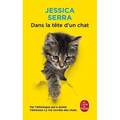 Dans La Tête D'un Chat