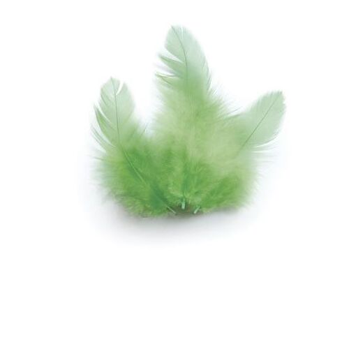 Sachet 3 Gr Plumes De Coq Vert Clair Ht.100