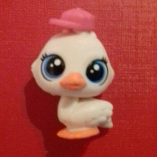 Petshop Canard Nn 291 Ducky Canard