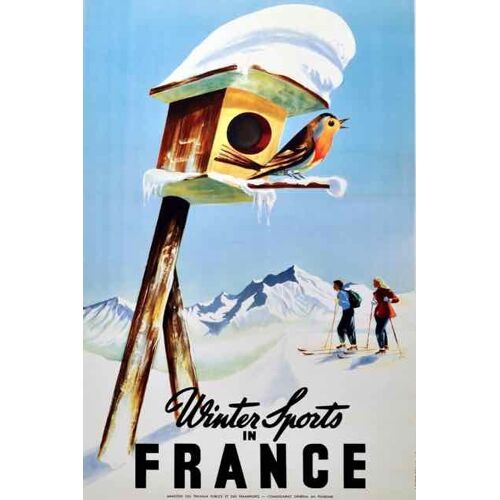 Affiche France Sports D Hiver