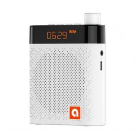 Mini amplificateur Portable multifonctionnel bluetooth 5.0, mégaphone pour le vendeur