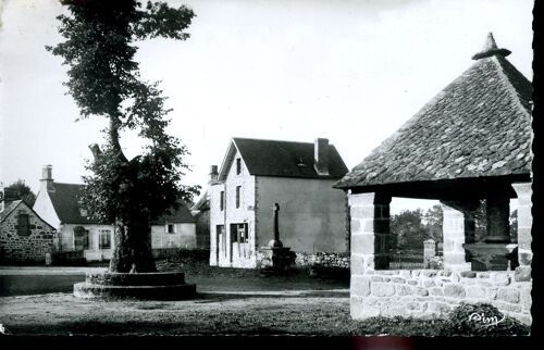 Carte Postale 19038 Bassignac Le Haut  (Corrèze)  La Place, Le Dôme Et La Croix Du Xiième Siècle, Le Tilleul De Sully