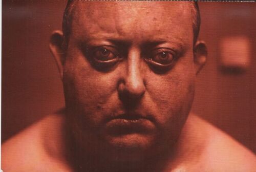 The Human Centipede 2