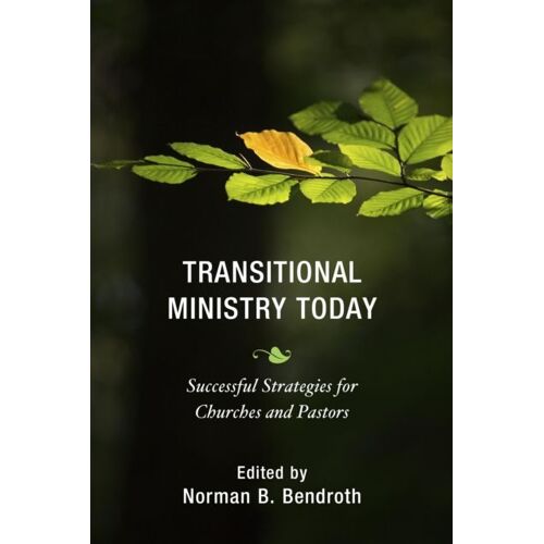 Transitional Ministry Today