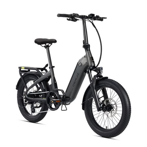 Deruiz Velo Electrique Pliable - Moteur 250w - Pneus Tout-Terrain 20 Pouces - Avec Amortisseur Avant - Shimano 8 Vitesses - Batterie 500wh - Vtc Fat Bike