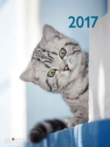 Calendrier 2017 - Chats - Cats - 48x64 Cm