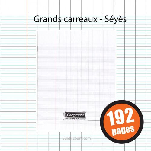 Cahier - 17x22(Cm) - Grands Carreaux - 192 Pages - Couverture En Polypro - Sans Spirale - Clairefontaine - Calligraphe