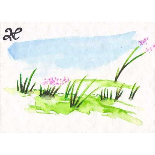 Aceo Sketch Card Carte Peinture Watercolor Landscape Herbe Fleurs Flower Psc 1/1