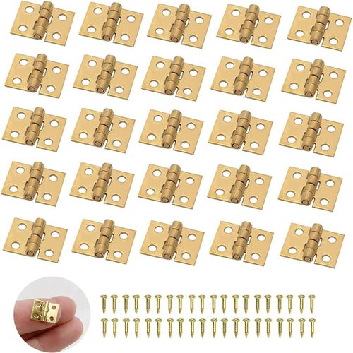 ASFASFq-50 Pièces Mini Charnières Petites Charnières Mini Charniere en Laiton Charnières Miniatures et 200 vis