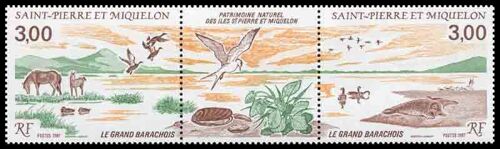 Timbre Collection Saint Pierre Et Miquelon - Yvert Et Tellier N° 485a - Neuf Sans Charnière
