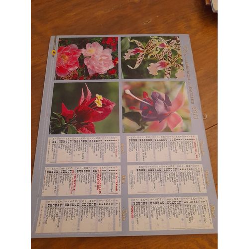 Almanach - Calendrier Du Facteur 2013 - Fleurs